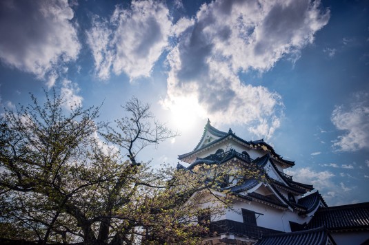 青空と彦根城