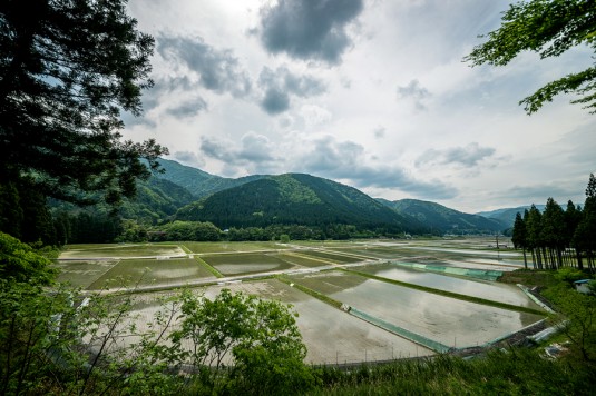 農村風景