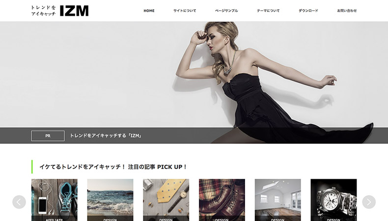 WordPress Theme IZM