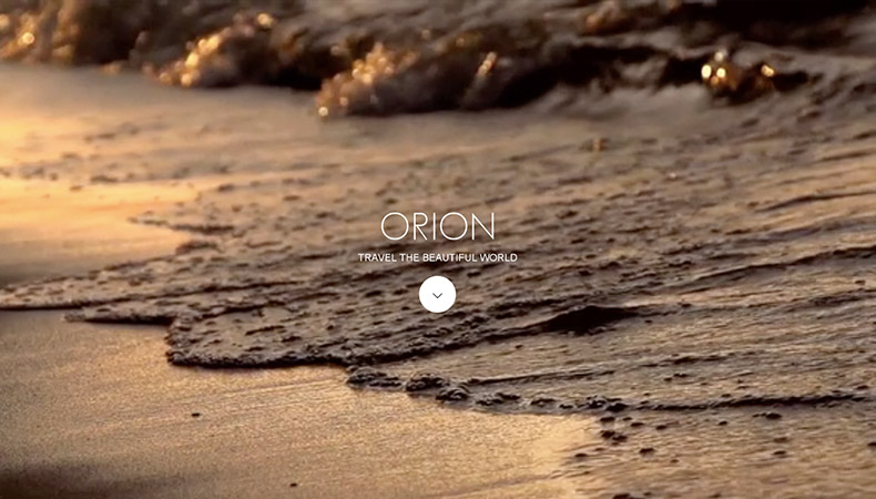 WordPress Theme ORION