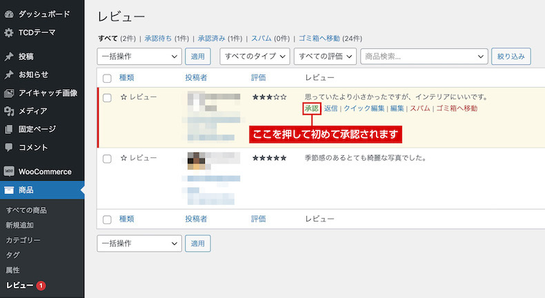 未承認レビューの例
