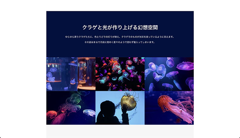 固定ページのフロントイメージ