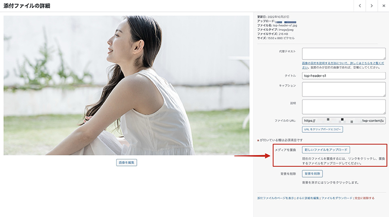 追加されたオプション